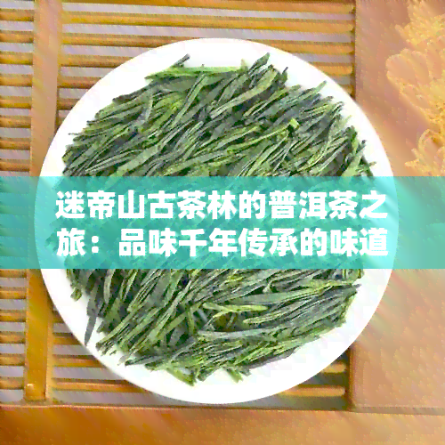 迷帝山古茶林的普洱茶之旅：品味千年传承的味道