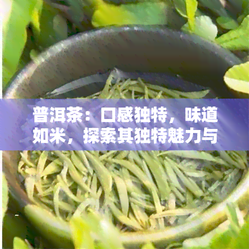 普洱茶：口感独特，味道如米，探索其独特魅力与营养价值