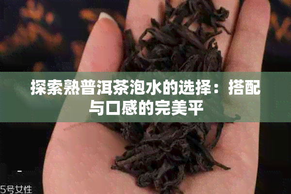 探索熟普洱茶泡水的选择：搭配与口感的完美平