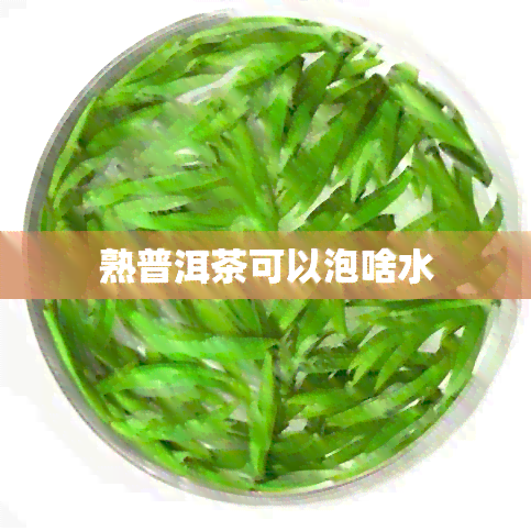 熟普洱茶可以泡啥水