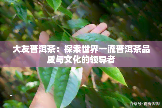 大友普洱茶：探索世界一流普洱茶品质与文化的领导者