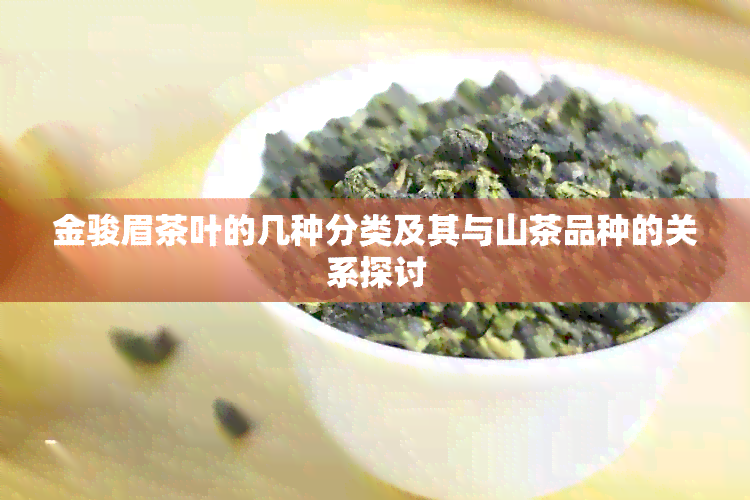 金骏眉茶叶的几种分类及其与山茶品种的关系探讨