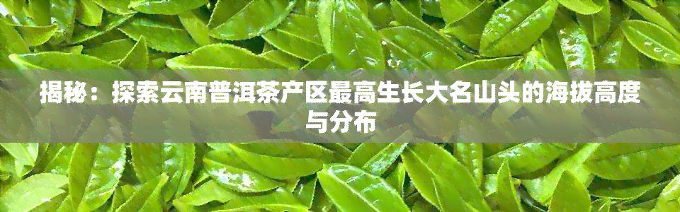 揭秘：探索云南普洱茶产区更高生长大名山头的海拔高度与分布