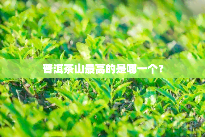 普洱茶山更高的是哪一个？