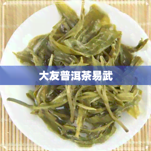 大友普洱茶易武