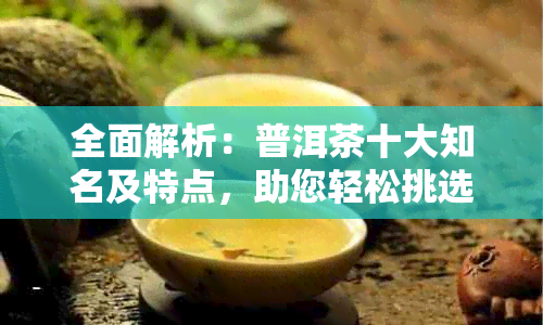 全面解析：普洱茶十大知名及特点，助您轻松挑选最适合的茶叶