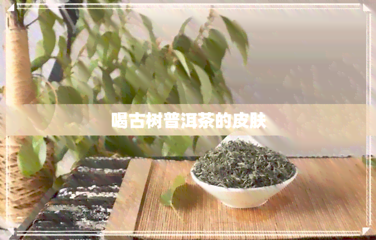 喝古树普洱茶的皮肤