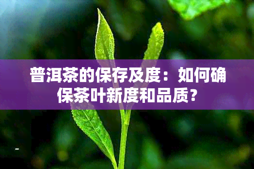 普洱茶的保存及度：如何确保茶叶新度和品质？