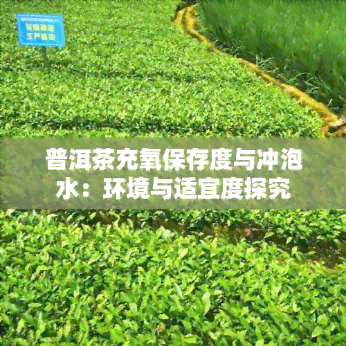 普洱茶充氧保存度与冲泡水：环境与适宜度探究