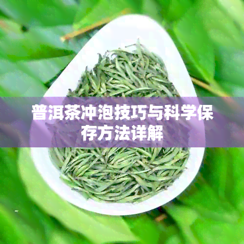 普洱茶冲泡技巧与科学保存方法详解