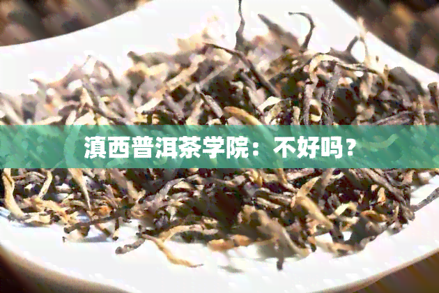 滇西普洱茶学院：不好吗？