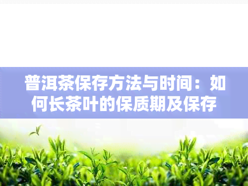 普洱茶保存方法与时间：如何长茶叶的保质期及保存年限？