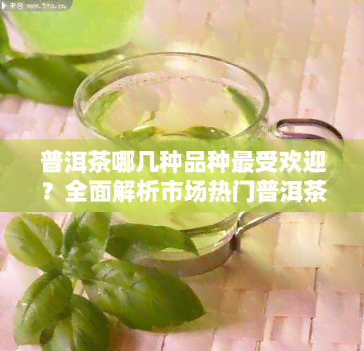 普洱茶哪几种品种更受欢迎？全面解析市场热门普洱茶种类及其特点