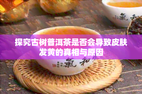 探究古树普洱茶是否会导致皮肤发黄的真相与原因