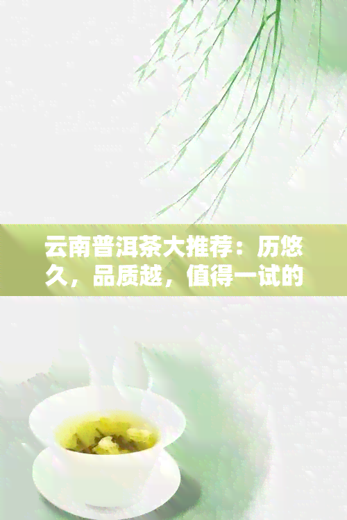 云南普洱茶大推荐：历悠久，品质越，值得一试的茶叶经典