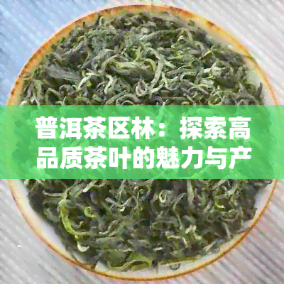 普洱茶区林：探索高品质茶叶的魅力与产地详情