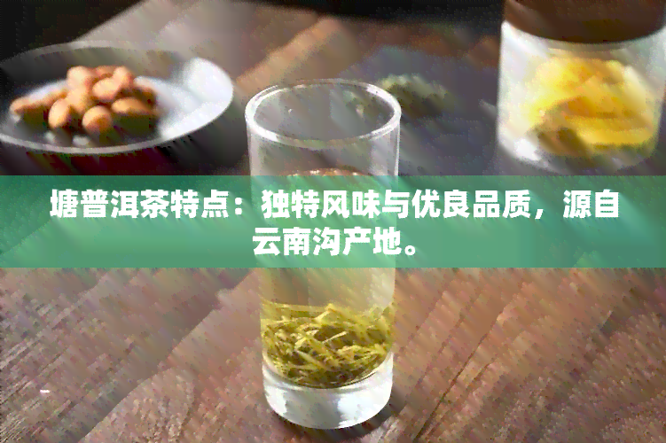 塘普洱茶特点：独特风味与优良品质，源自云南沟产地。