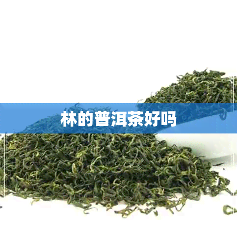 林的普洱茶好吗