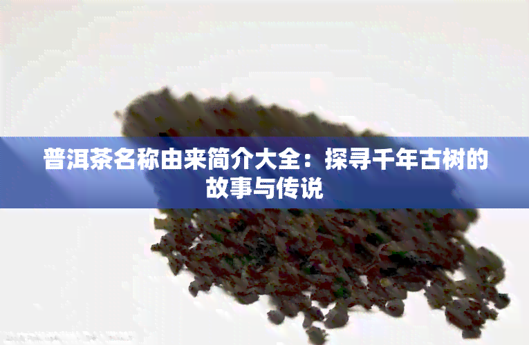 普洱茶名称由来简介大全：探寻千年古树的故事与传说