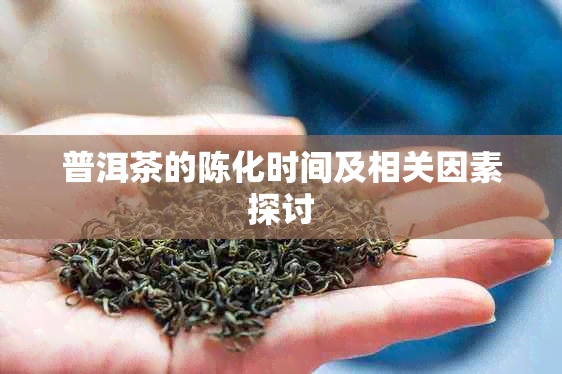 普洱茶的陈化时间及相关因素探讨