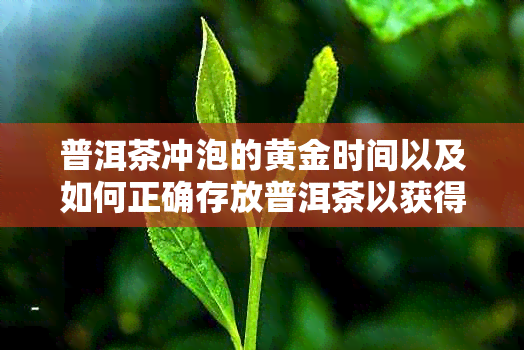 普洱茶冲泡的黄金时间以及如何正确存放普洱茶以获得更好的品质