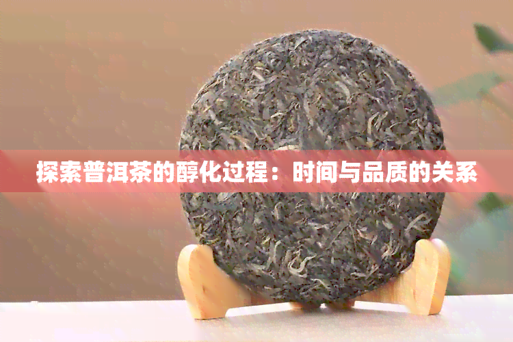 探索普洱茶的醇化过程：时间与品质的关系