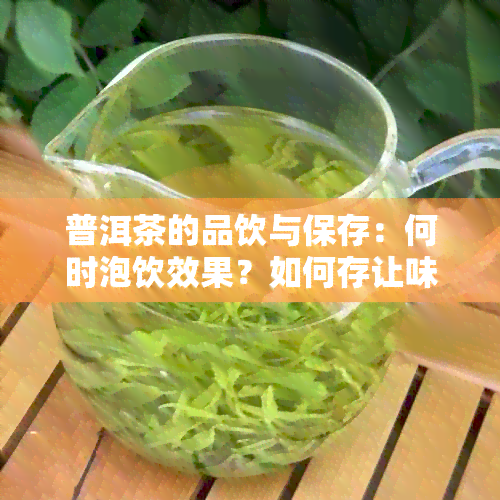 普洱茶的品饮与保存：何时泡饮效果？如何存让味道更持久？