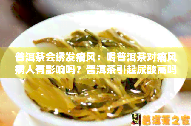 普洱茶会诱发痛风：喝普洱茶对痛风病人有影响吗？普洱茶引起尿酸高吗？