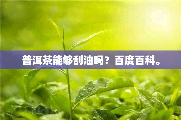 普洱茶能够刮油吗？百度百科。