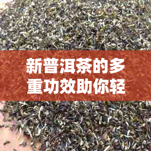 新普洱茶的多重功效助你轻松驱散体内油脂