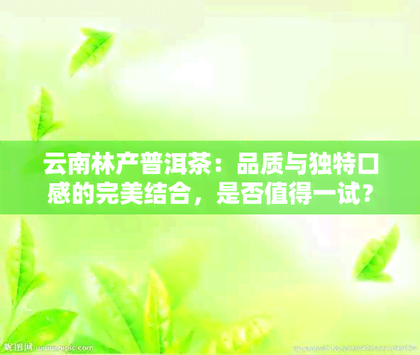 云南林产普洱茶：品质与独特口感的完美结合，是否值得一试？