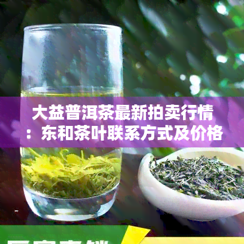 大益普洱茶最新拍卖行情：东和茶叶联系方式及价格详情一览