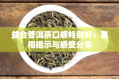 益合普洱茶口感特别好：真相揭示与感受分享