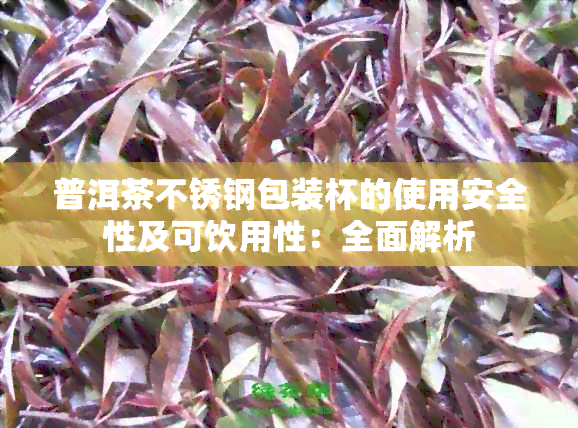 普洱茶不锈钢包装杯的使用安全性及可饮用性：全面解析