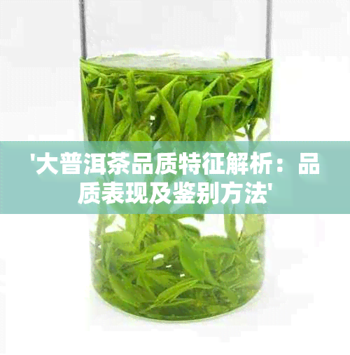 '大普洱茶品质特征解析：品质表现及鉴别方法'