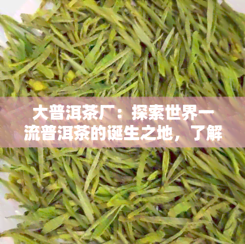 大普洱茶厂：探索世界一流普洱茶的诞生之地，了解茶叶制作工艺与品鉴技巧