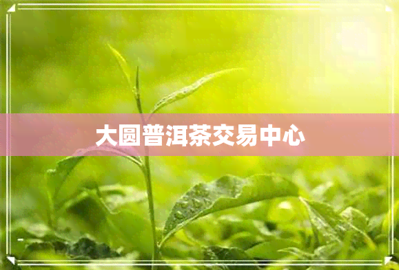 大圆普洱茶交易中心