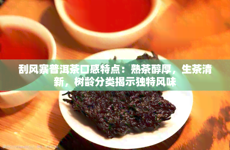 刮风寨普洱茶口感特点：熟茶醇厚，生茶清新，树龄分类揭示独特风味