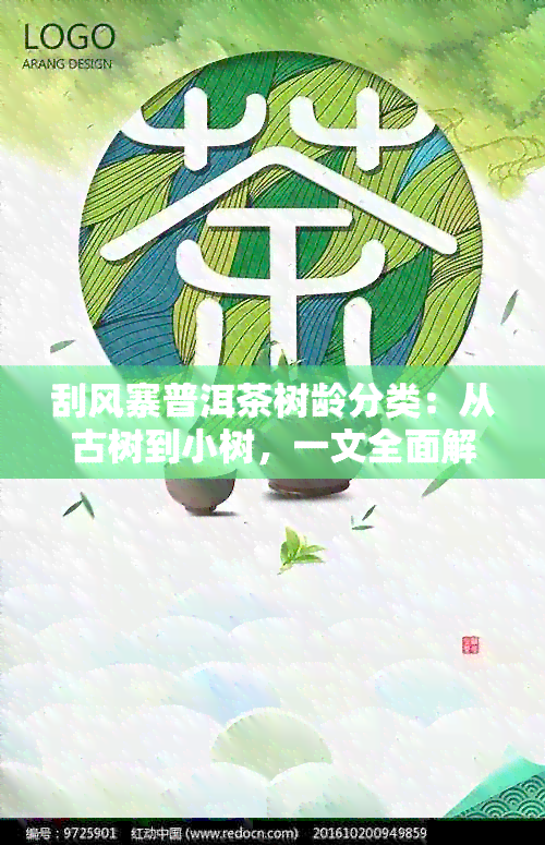 刮风寨普洱茶树龄分类：从古树到小树，一文全面解析普洱茶树龄划分与特点