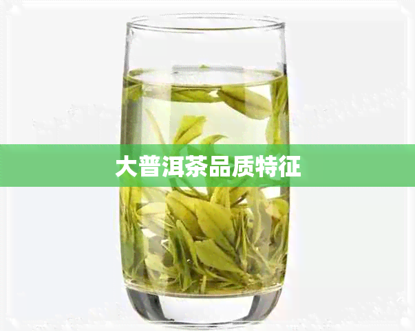 大普洱茶品质特征