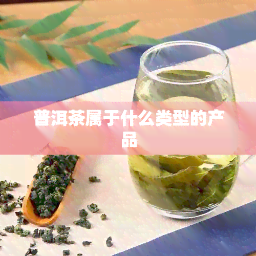 普洱茶属于什么类型的产品