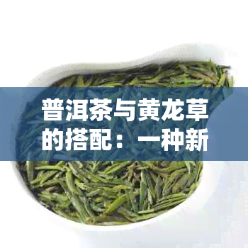 普洱茶与黄龙草的搭配：一种新尝试的喝法探讨