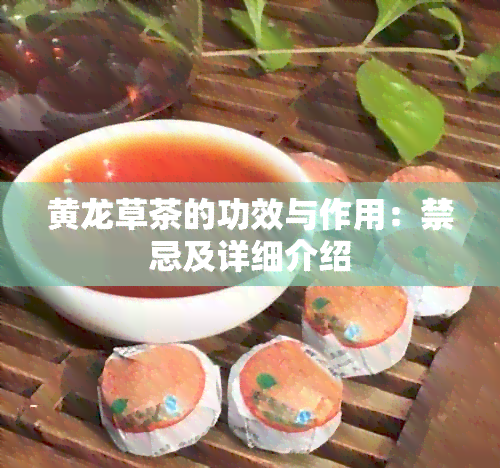 黄龙草茶的功效与作用：禁忌及详细介绍