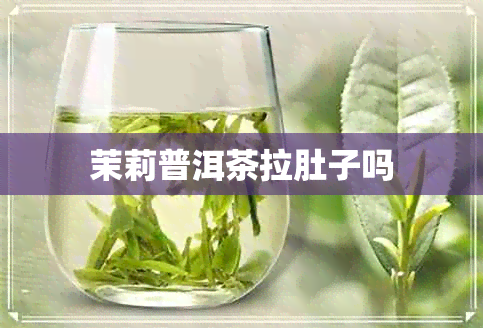 茉莉普洱茶拉肚子吗