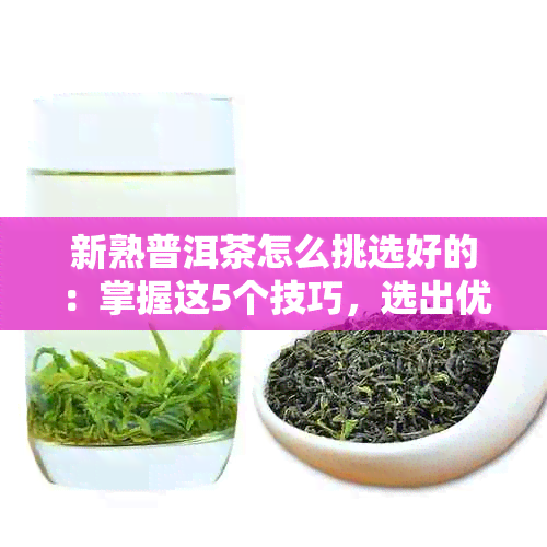 新熟普洱茶怎么挑选好的：掌握这5个技巧，选出优质茶叶