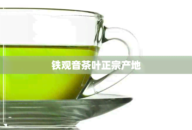 铁观音茶叶正宗产地