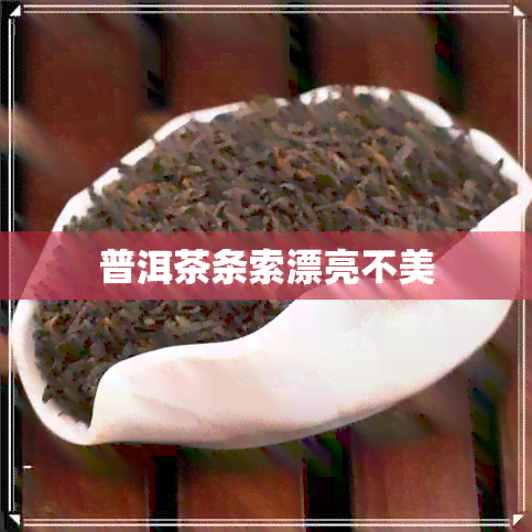 普洱茶条索漂亮不美