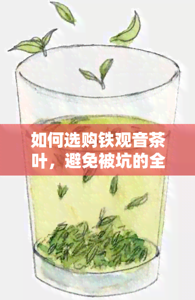 如何选购铁观音茶叶，避免被坑的全攻略