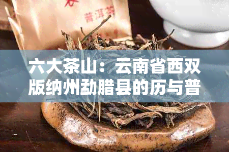 六大茶山：云南省西双版纳州勐腊县的历与普洱茶文化