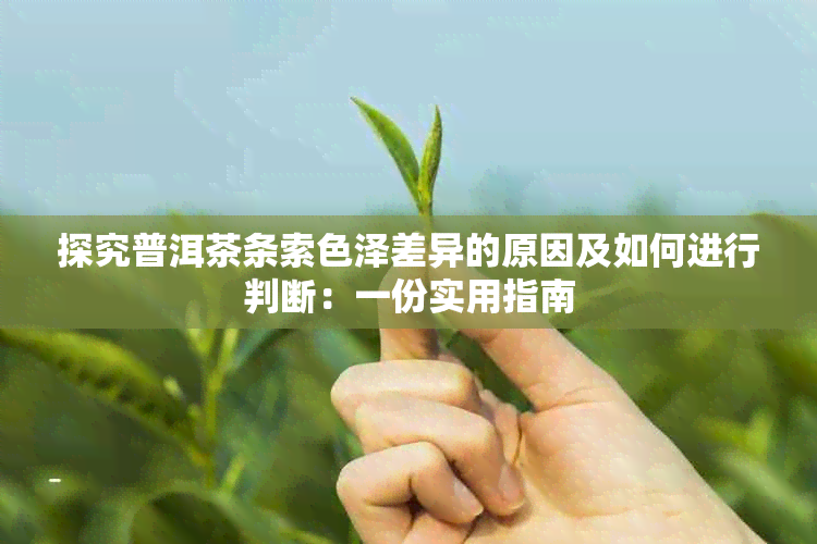 探究普洱茶条索色泽差异的原因及如何进行判断：一份实用指南